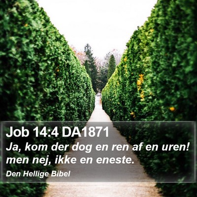 Job 14:4 DA1871 Bible Verse Image