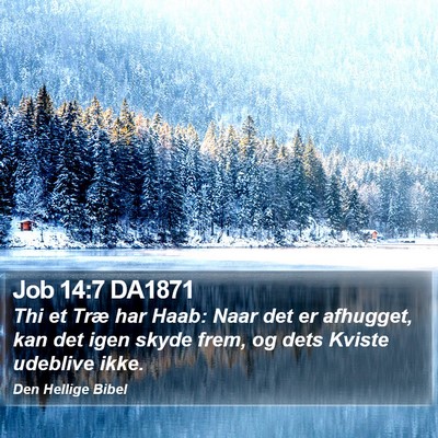 Job 14:7 DA1871 Bible Verse Image