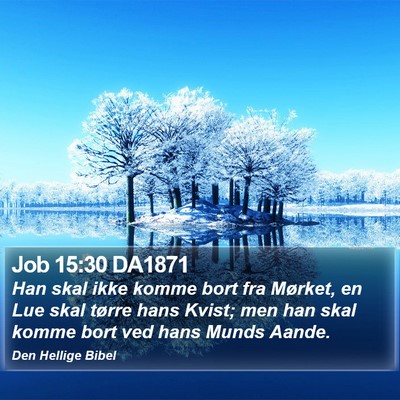Job 15:30 DA1871 Bible Verse Image