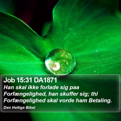Job 15:31 DA1871 Bible Verse Image