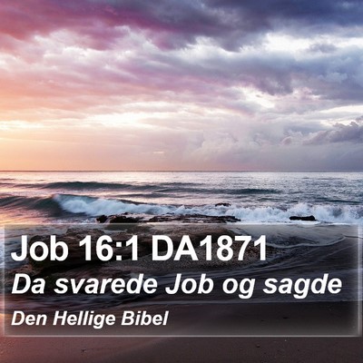 Job 16:1 DA1871 Bible Verse Image