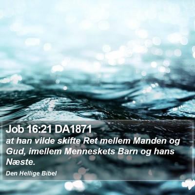 Job 16:21 DA1871 Bible Verse Image
