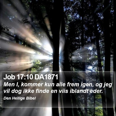 Job 17:10 DA1871 Bible Verse Image
