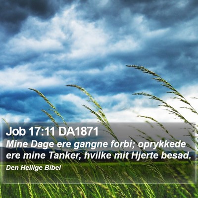 Job 17:11 DA1871 Bible Verse Image