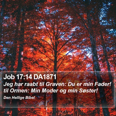 Job 17:14 DA1871 Bible Verse Image