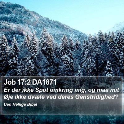 Job 17:2 DA1871 Bible Verse Image