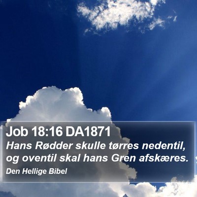 Job 18:16 DA1871 Bible Verse Image