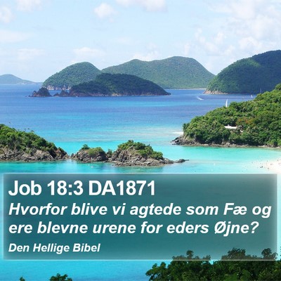 Job 18:3 DA1871 Bible Verse Image
