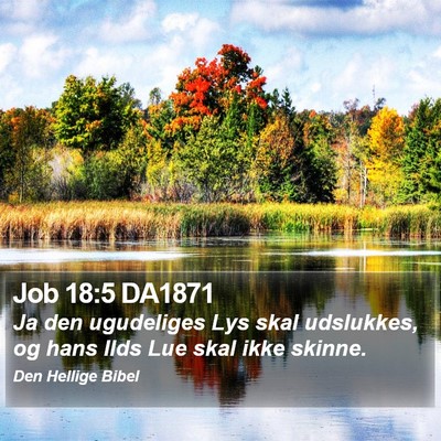 Job 18:5 DA1871 Bible Verse Image