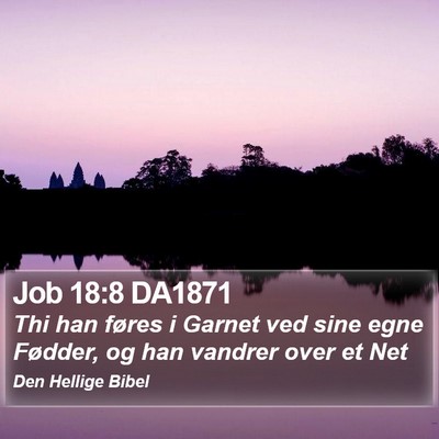 Job 18:8 DA1871 Bible Verse Image