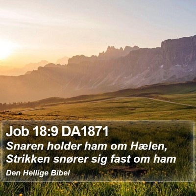 Job 18:9 DA1871 Bible Verse Image