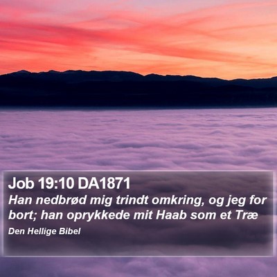 Job 19:10 DA1871 Bible Verse Image