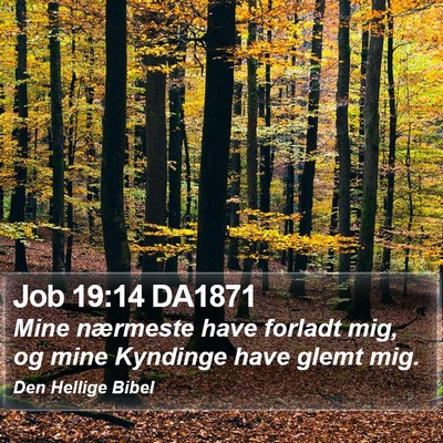 Job 19:14 DA1871 Bible Verse Image