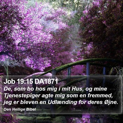 Job 19:15 DA1871 Bible Verse Image