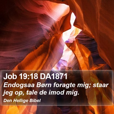 Job 19:18 DA1871 Bible Verse Image