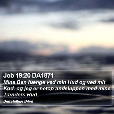 Job 19:20 DA1871 Bible Verse Image