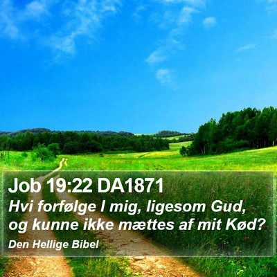 Job 19:22 DA1871 Bible Verse Image