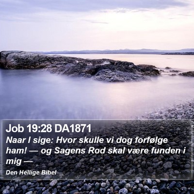 Job 19:28 DA1871 Bible Verse Image