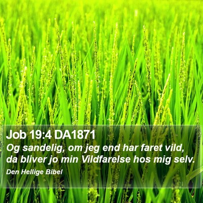 Job 19:4 DA1871 Bible Verse Image