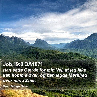 Job 19:8 DA1871 Bible Verse Image
