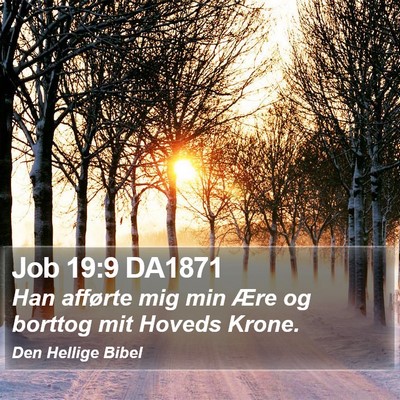 Job 19:9 DA1871 Bible Verse Image