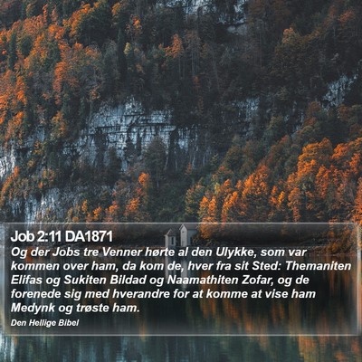 Job 2:11 DA1871 Bible Verse Image