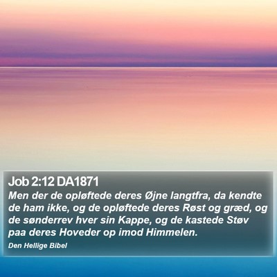 Job 2:12 DA1871 Bible Verse Image