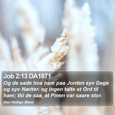 Job 2:13 DA1871 Bible Verse Image