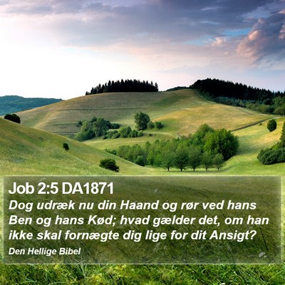 Job 2:5 DA1871 Bible Verse Image