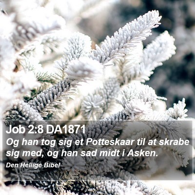 Job 2:8 DA1871 Bible Verse Image