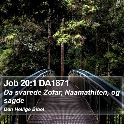 Job 20:1 DA1871 Bible Verse Image