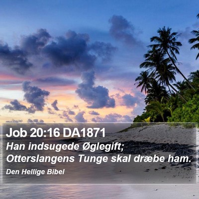Job 20:16 DA1871 Bible Verse Image