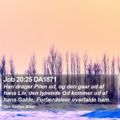 Job 20:25 DA1871 Bible Verse Image