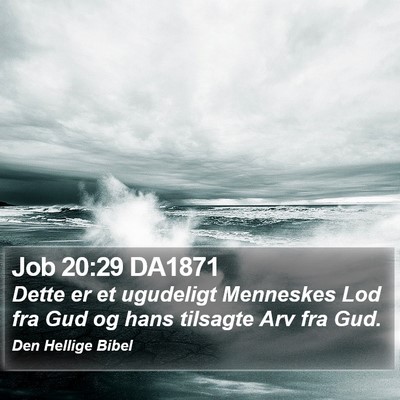 Job 20:29 DA1871 Bible Verse Image