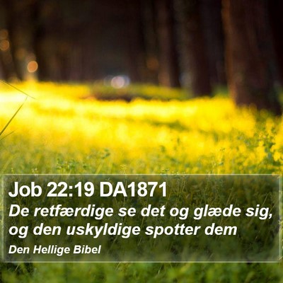 Job 22:19 DA1871 Bible Verse Image