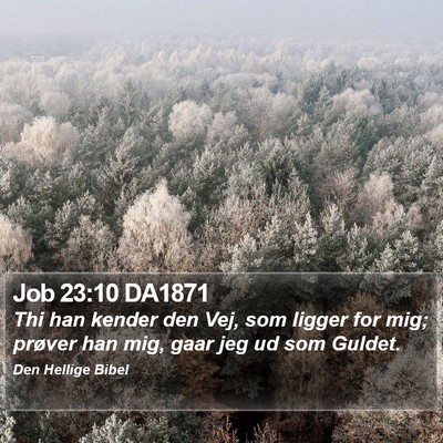 Job 23:10 DA1871 Bible Verse Image