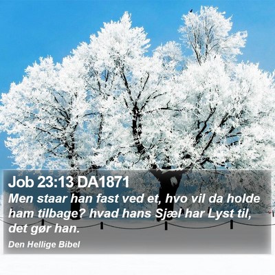 Job 23:13 DA1871 Bible Verse Image