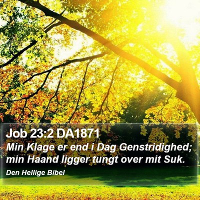 Job 23:2 DA1871 Bible Verse Image