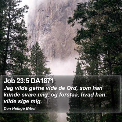 Job 23:5 DA1871 Bible Verse Image