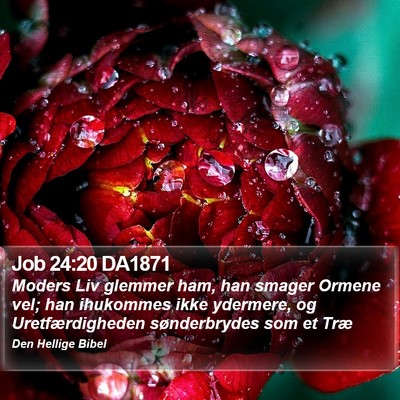 Job 24:20 DA1871 Bible Verse Image