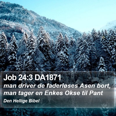 Job 24:3 DA1871 Bible Verse Image