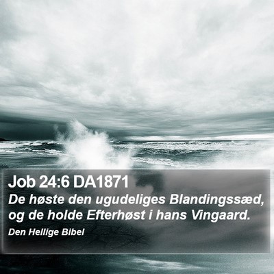 Job 24:6 DA1871 Bible Verse Image