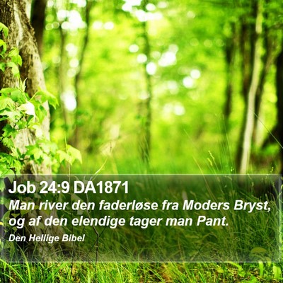 Job 24:9 DA1871 Bible Verse Image