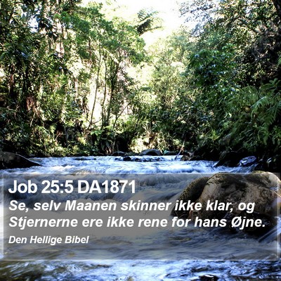 Job 25:5 DA1871 Bible Verse Image