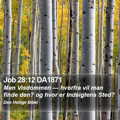 Job 28:12 DA1871 Bible Verse Image