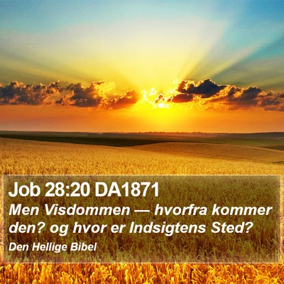 Job 28:20 DA1871 Bible Verse Image