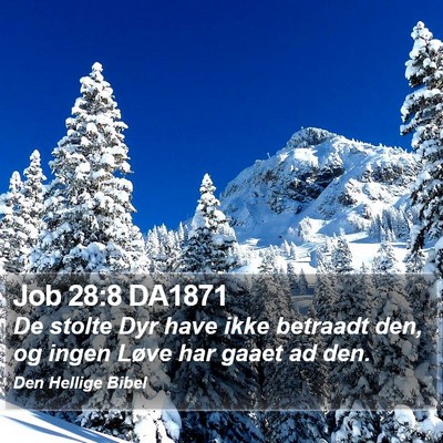 Job 28:8 DA1871 Bible Verse Image