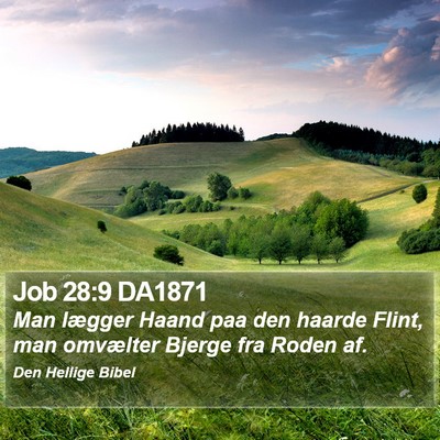 Job 28:9 DA1871 Bible Verse Image