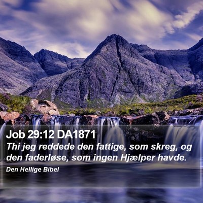 Job 29:12 DA1871 Bible Verse Image