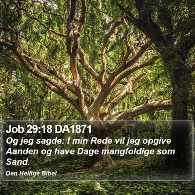 Job 29:18 DA1871 Bible Verse Image